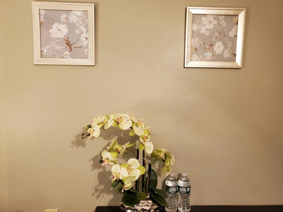 Tranquil House In Cambridge Hotel Bagian luar foto